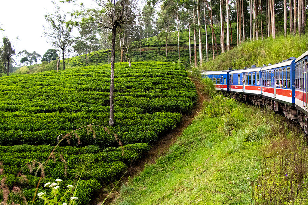 Sri Lanka Holidays,Best Long-Haul Destinations from the UK-VGUK Blog