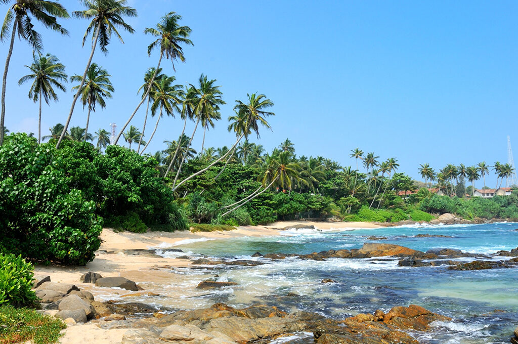 A tranquil, sun-drenched beach with palm trees, representing the peaceful and welcoming atmosphere often sought by those researching is sri lanka safe for solo female travellers.