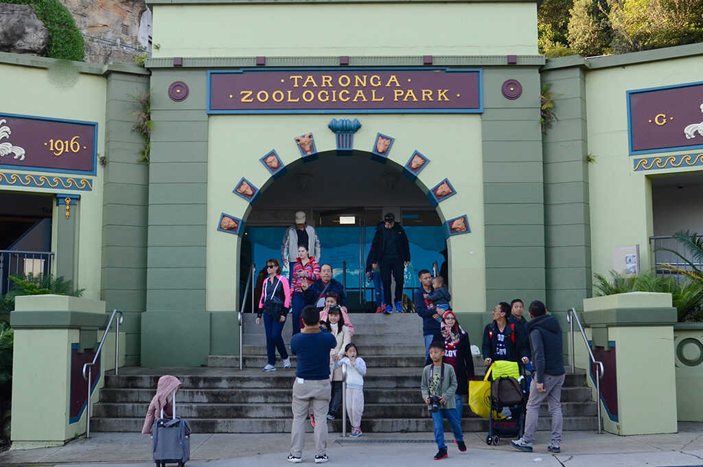 Taronga Zoo-Things To Do In Sydney With Kids-Vibes Group UK Blog