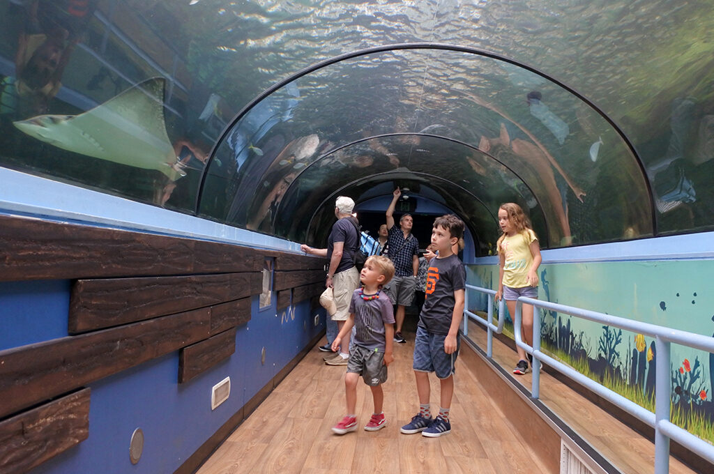 Visitors looking at fish in Sea Life Aquarium in Sydney New South Wales Australia displaying more than 700 species and 13,000 individual fish and other sea and water creature
