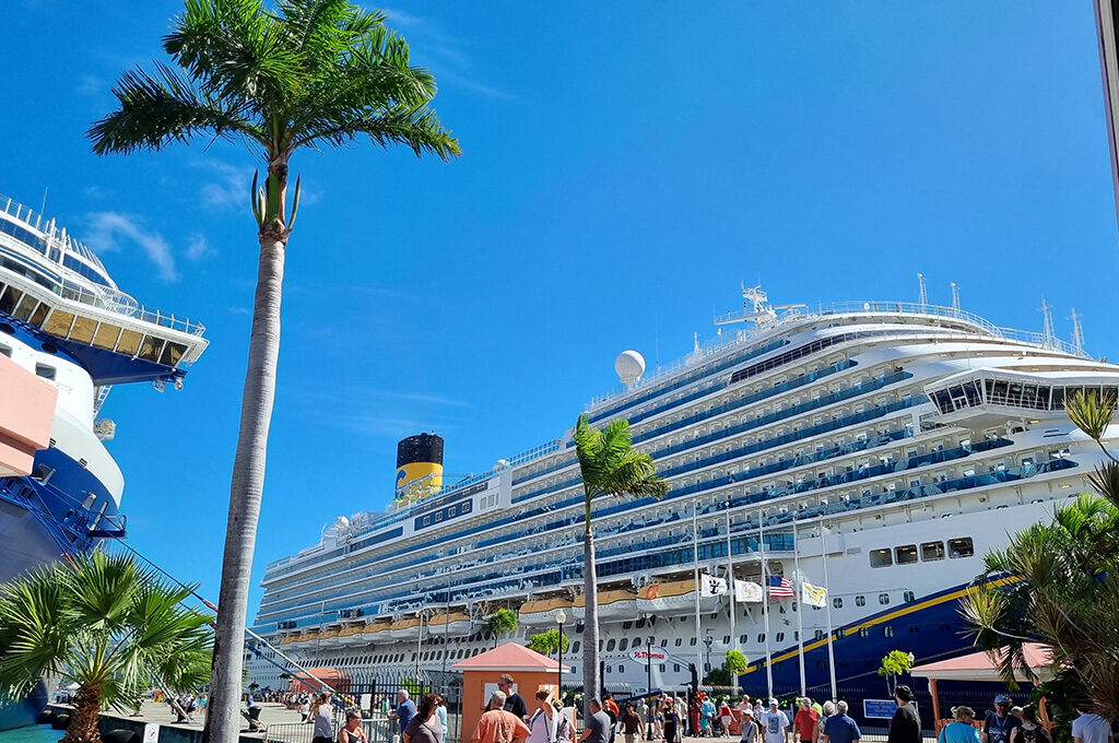 Multiple large cruise ships docked at a sunny tropical port with palm trees.
