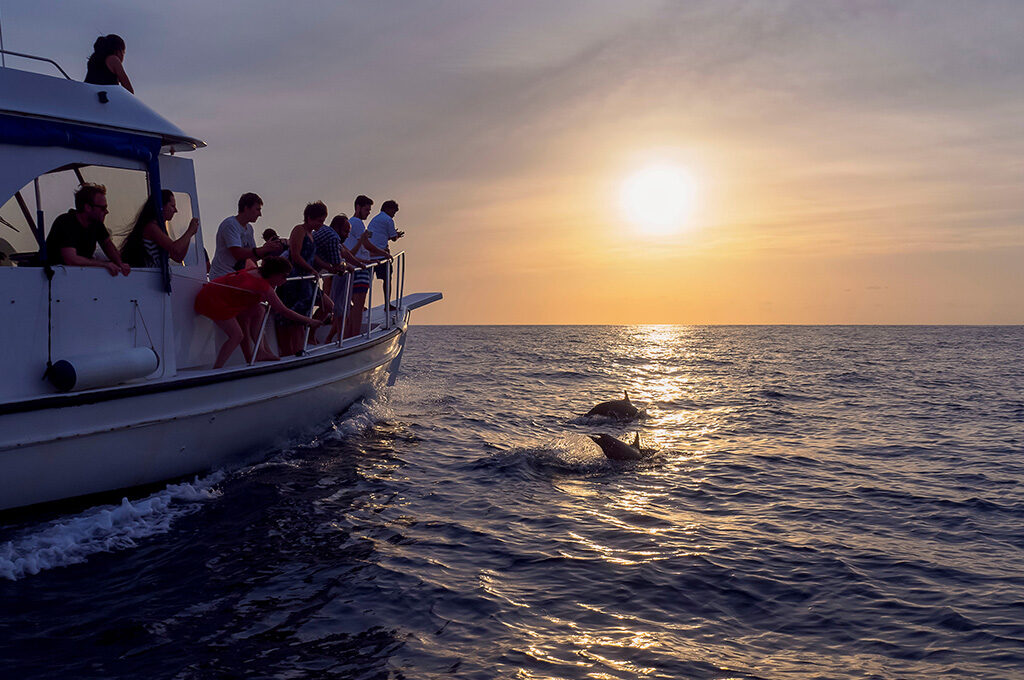 Sunset dolphin cruise boat, Maldives,Best time to visit Maldives - VGUK Blog