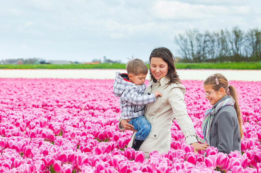 Family enjoying pink tulip field at Keukenhof during spring season - memorable places to visit in Netherlands with family for photos and outdoor exploration March through May.