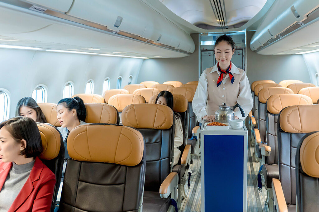 Cabin crew assisting a passenger, Best Economy Airlines - VGUK Blog